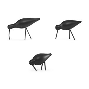 Shorebird Svart