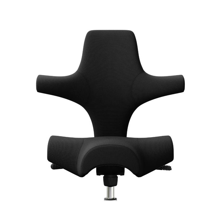 Klädsel Capisco 8106