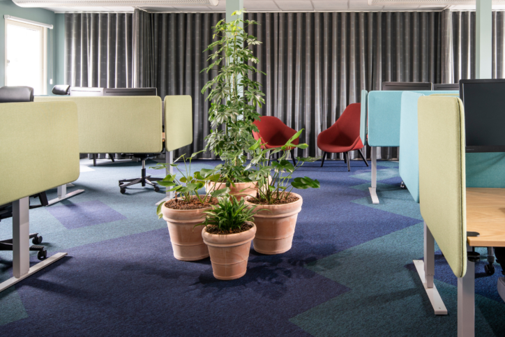 gallery image for a posttype: reference