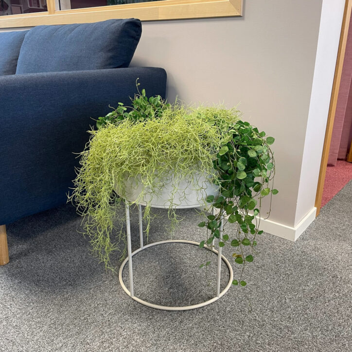 Galleribild #4 för Växtkärl Plant Box Round