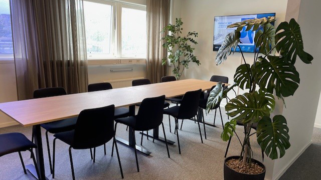 Konferensrum med bord och stolar, tv på väggen och stora växter i krukor.