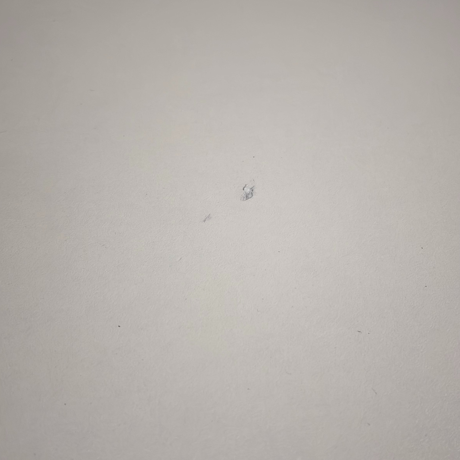 Galleribild #3 för Konferensbord Centrum Ø1200mm