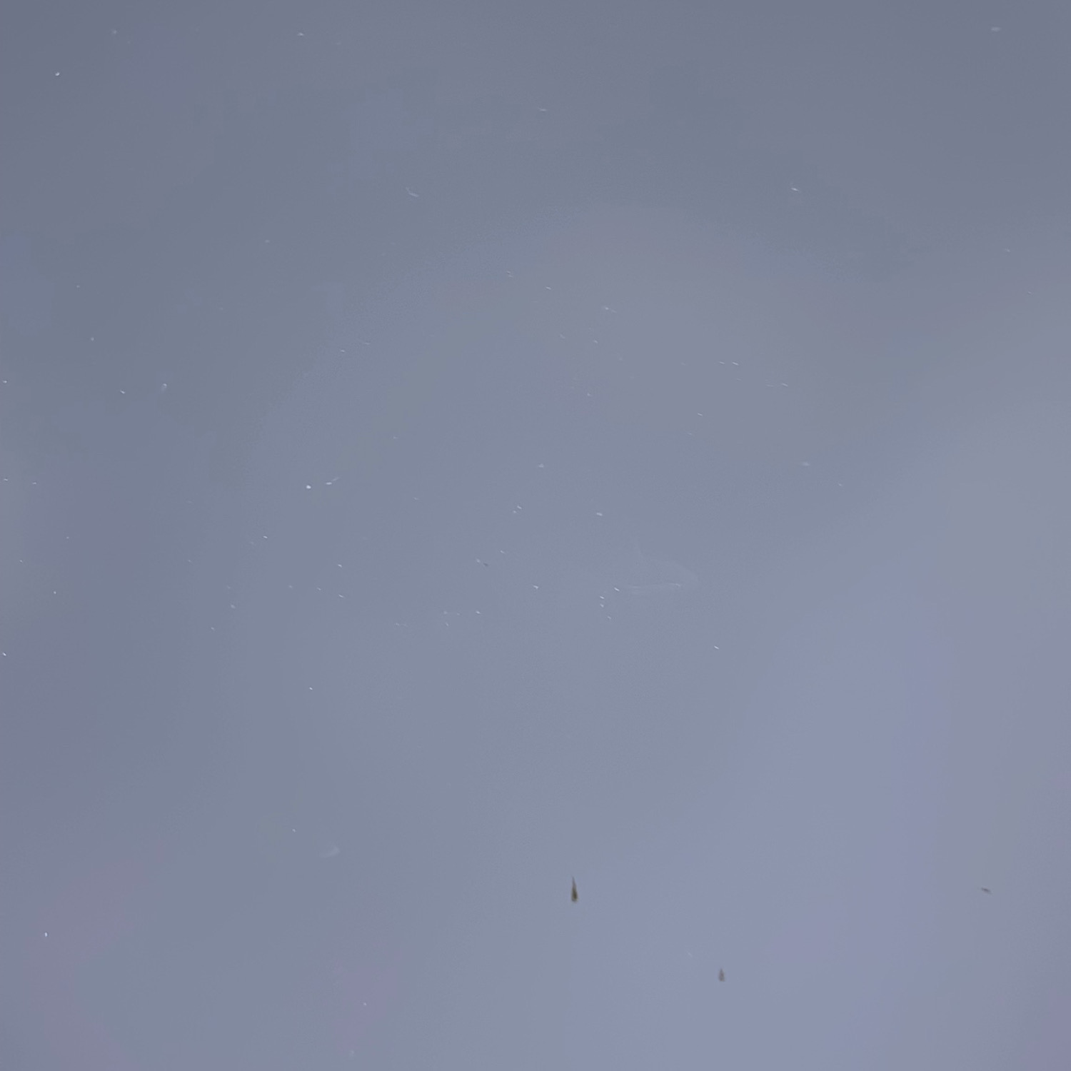 Galleribild #5 för Skjutdörrskåp Neat 1600mm
