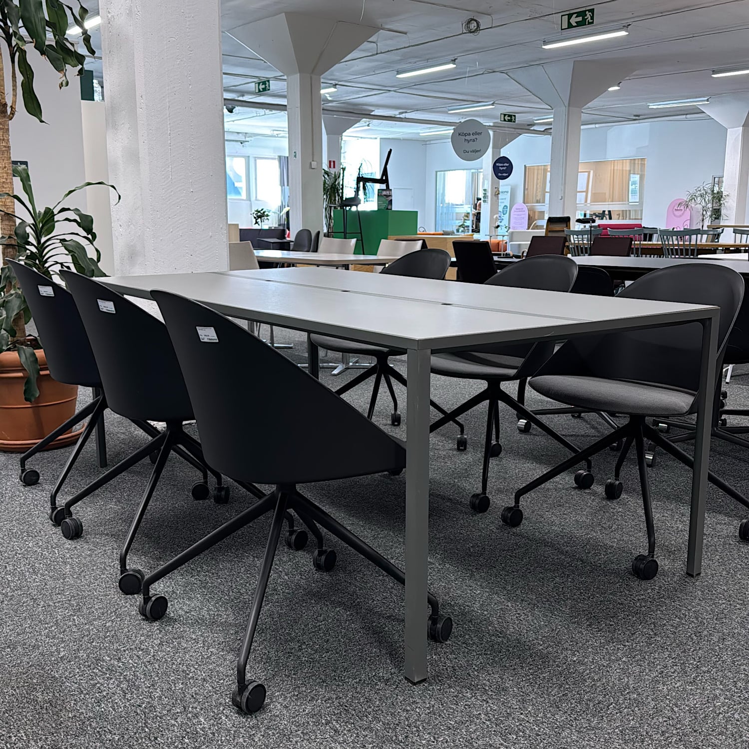 Konferensgrupp New Order/ Cila