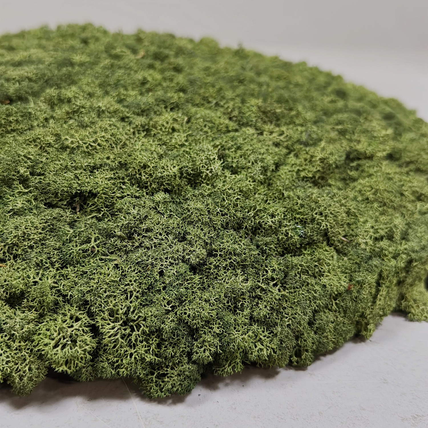 Galleribild #1 för Väggpanel Convex Circle Ø600