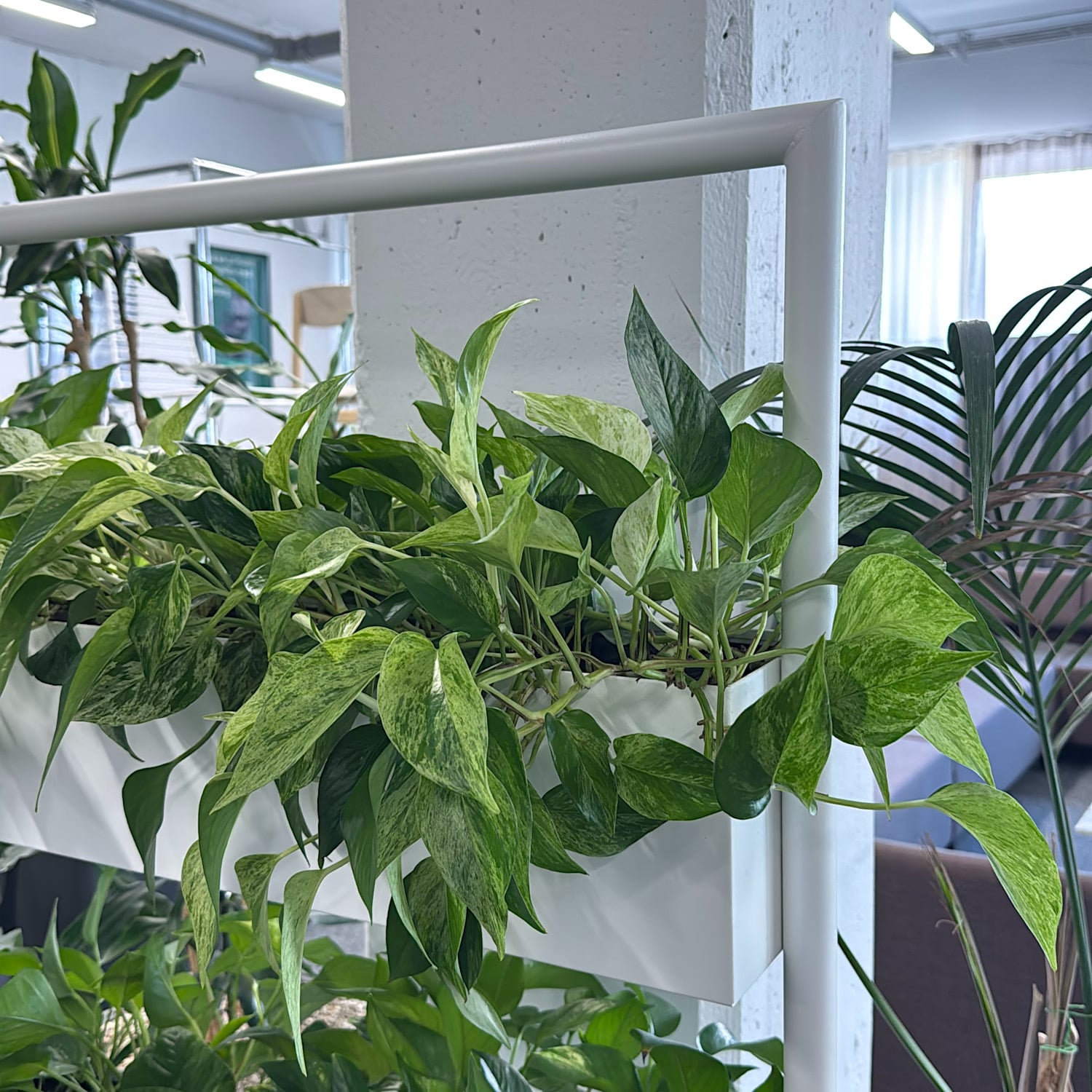 hover image