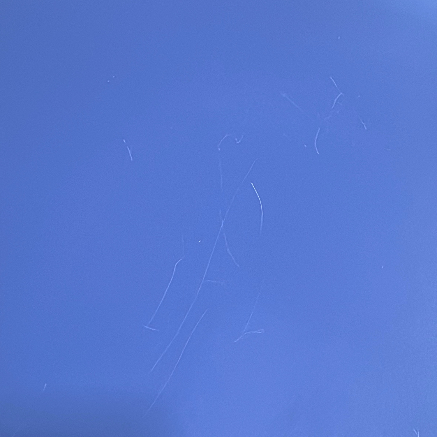 Galleribild #3 för Cafébord X-bone Ø900mm