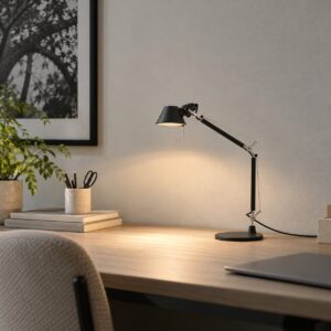 Skrivbordslampa Tolomeo Micro | Svart